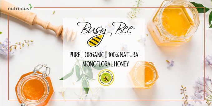 nutriplus-busy-bee-honey