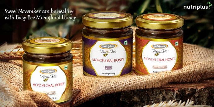 Stay Active and Healthy with Nutriplus Busy Bee Monofloral Honey